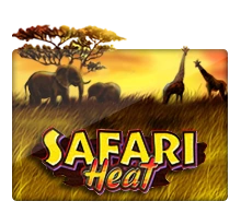 Joker123 : Safari Heat - STAYSLOT168