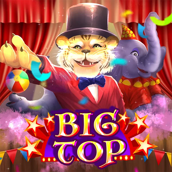 Big Top - STAYSLOT168